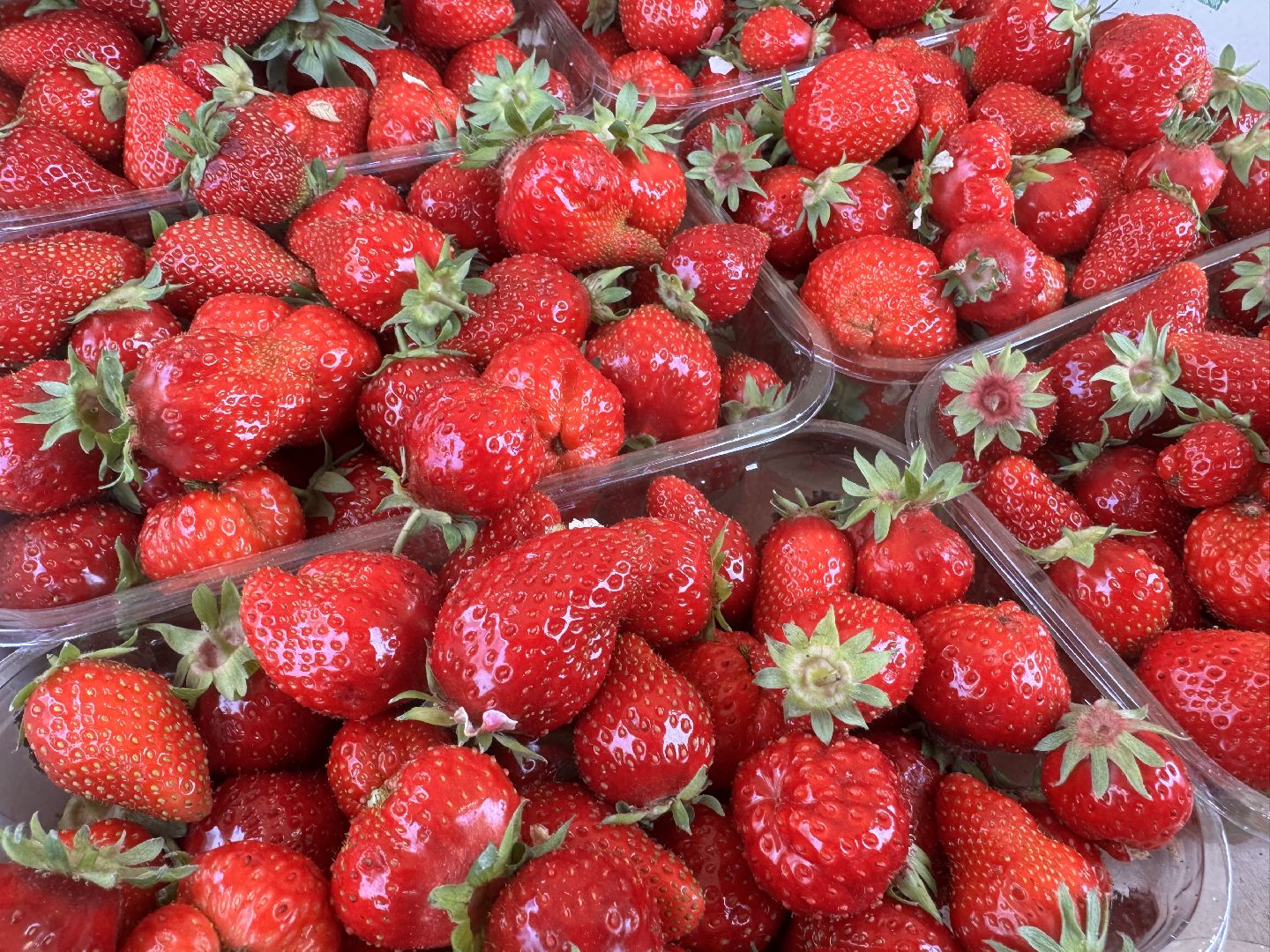 Крымская клубника, Сезон клубники, одинцовское подворье,