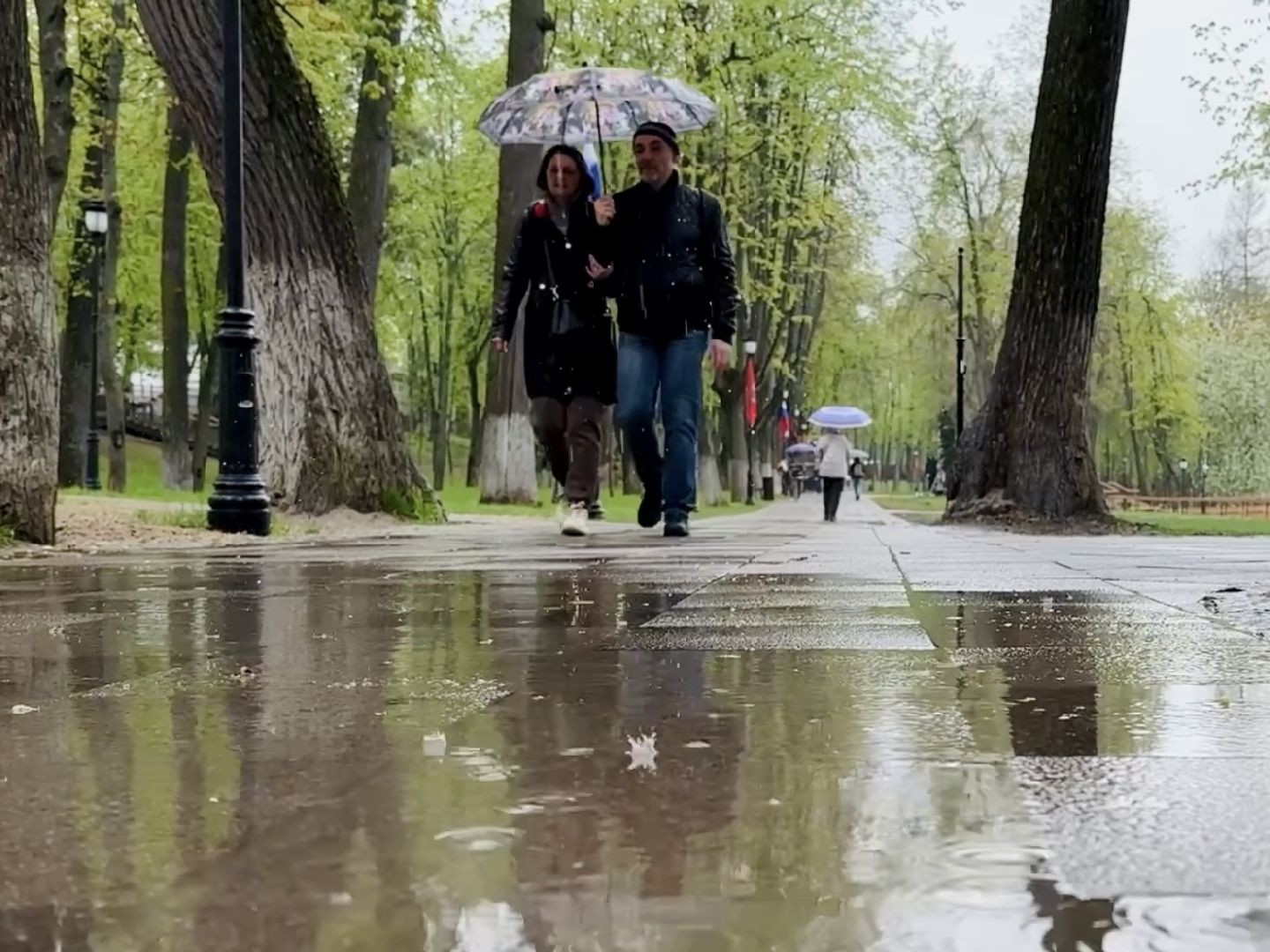 раменское, раменский городской парк,