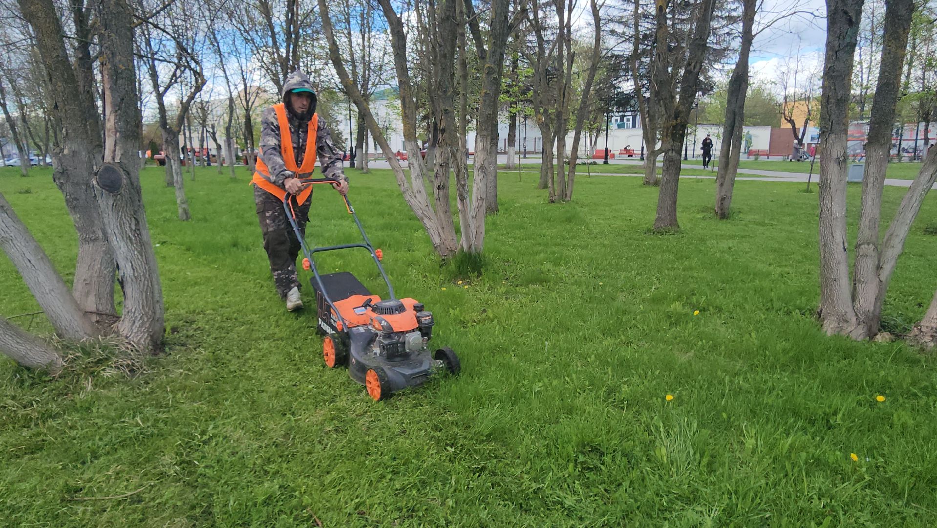 Истра, Сквер, Газон, Благоустройство,