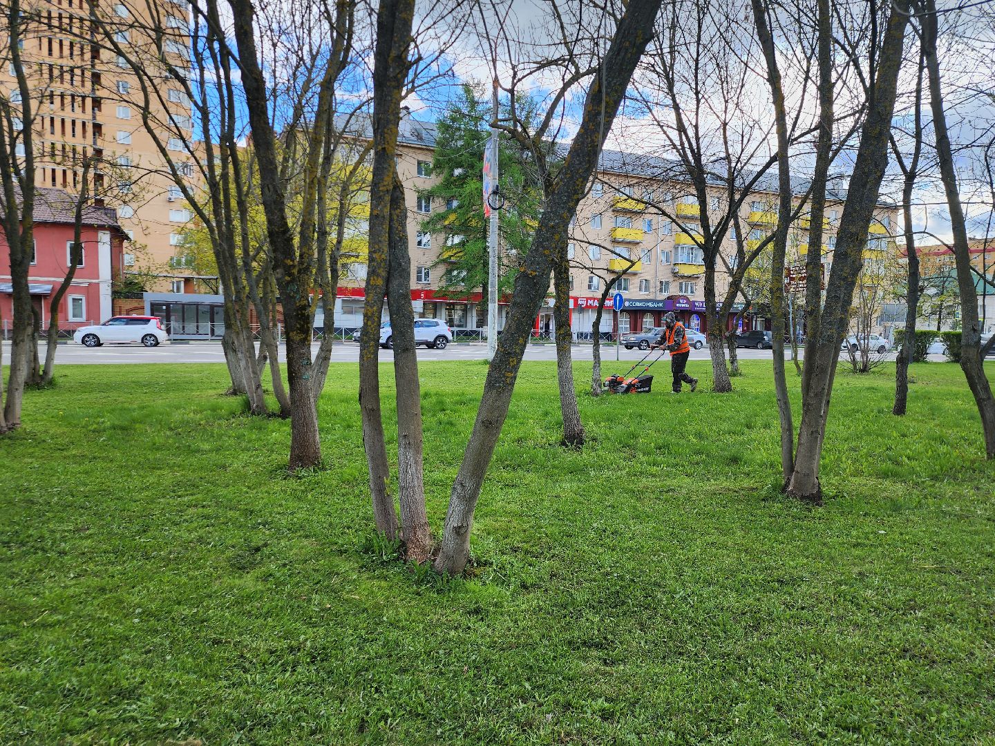 Истра, Сквер, Газон, Благоустройство,