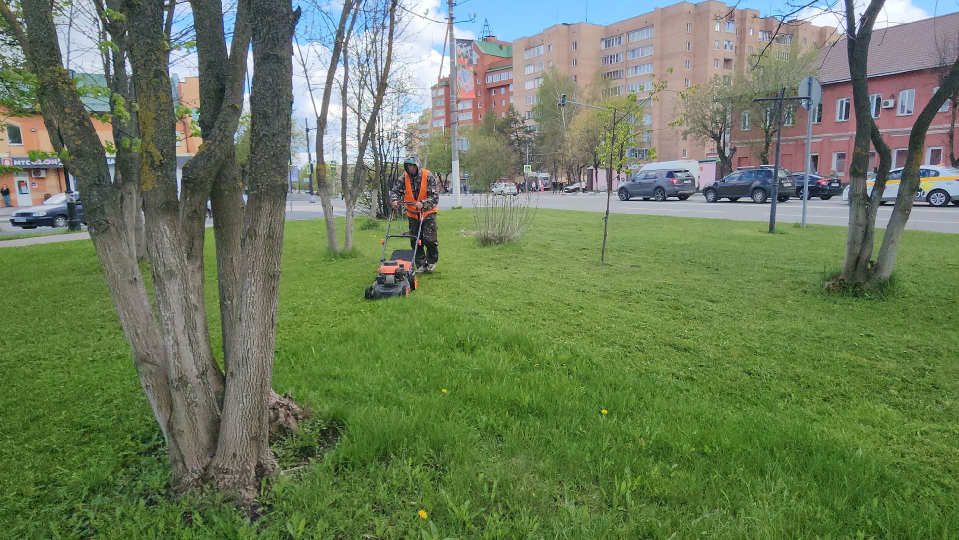 Истра, Сквер, Газон, Благоустройство,