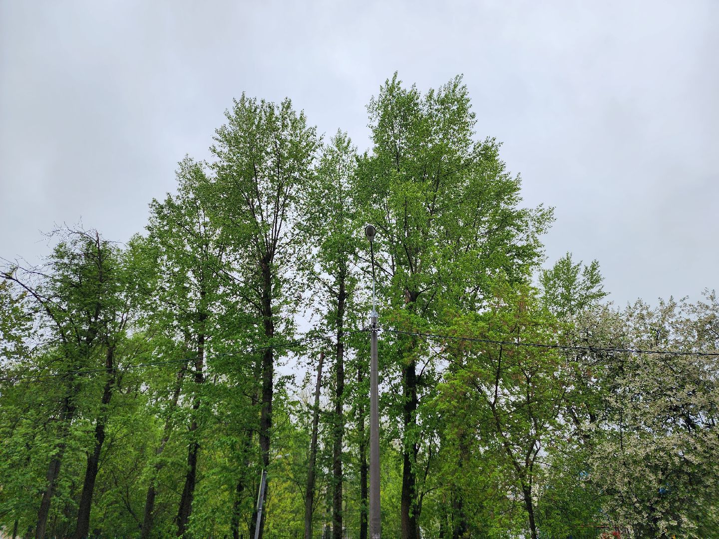 добродел, благоустройство королев, по просьбам жителей, королёв,