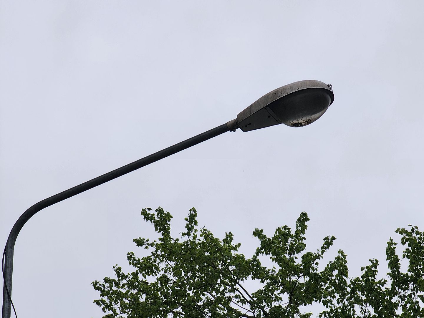 добродел, благоустройство королев, по просьбам жителей, королёв,