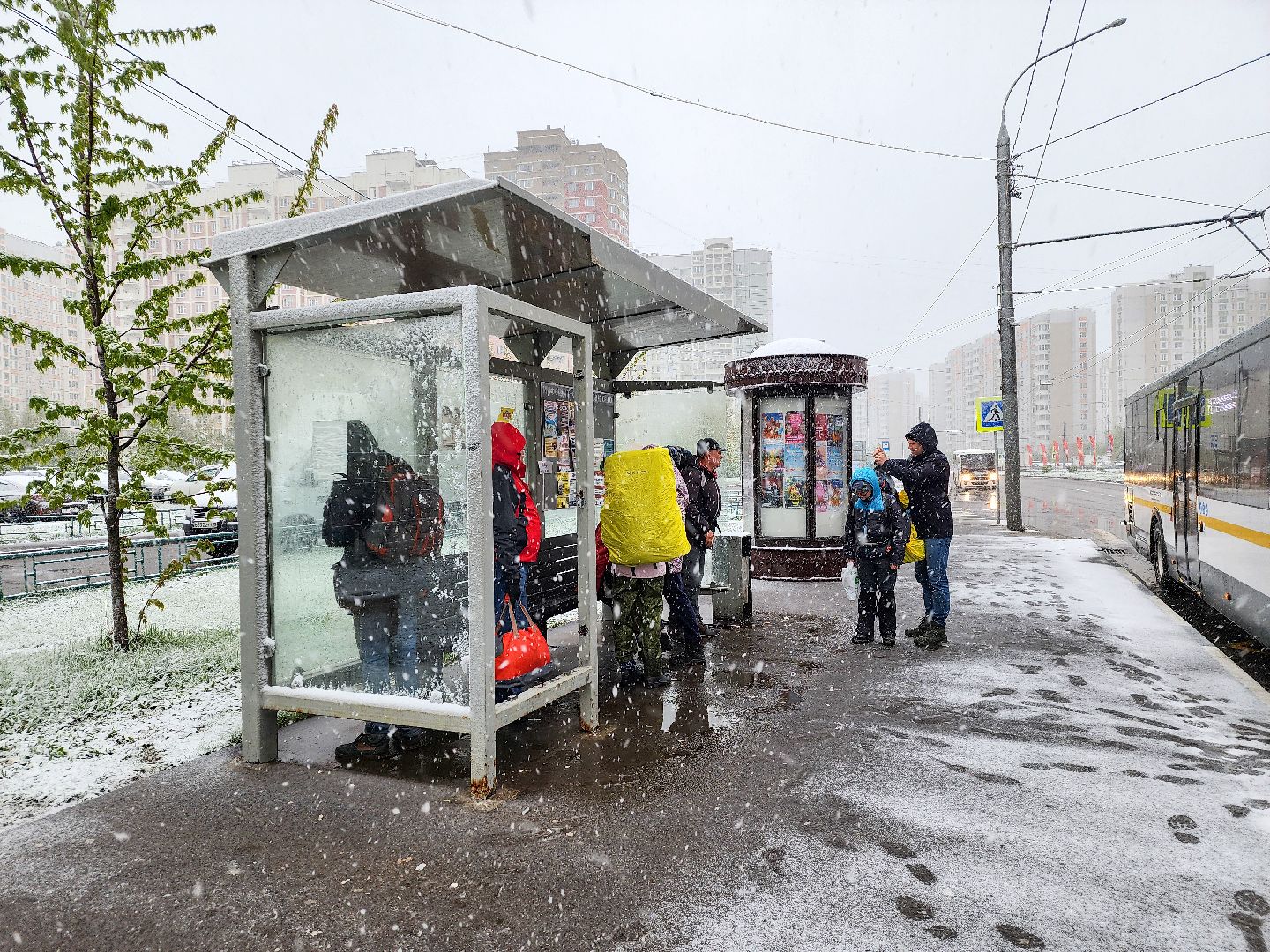 Подольск, Туристы, 80 лет победе, поход,