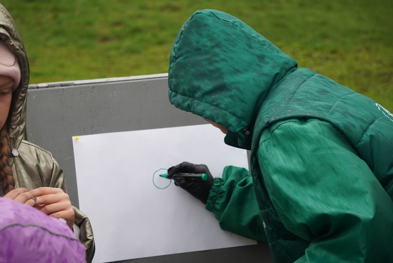 павловский посад, парк, огород,