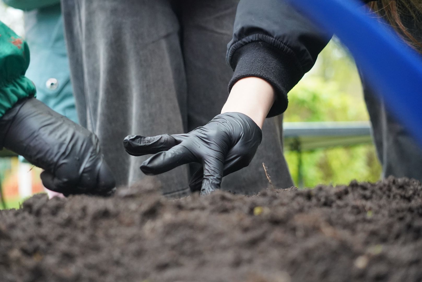 павловский посад, парк, огород,