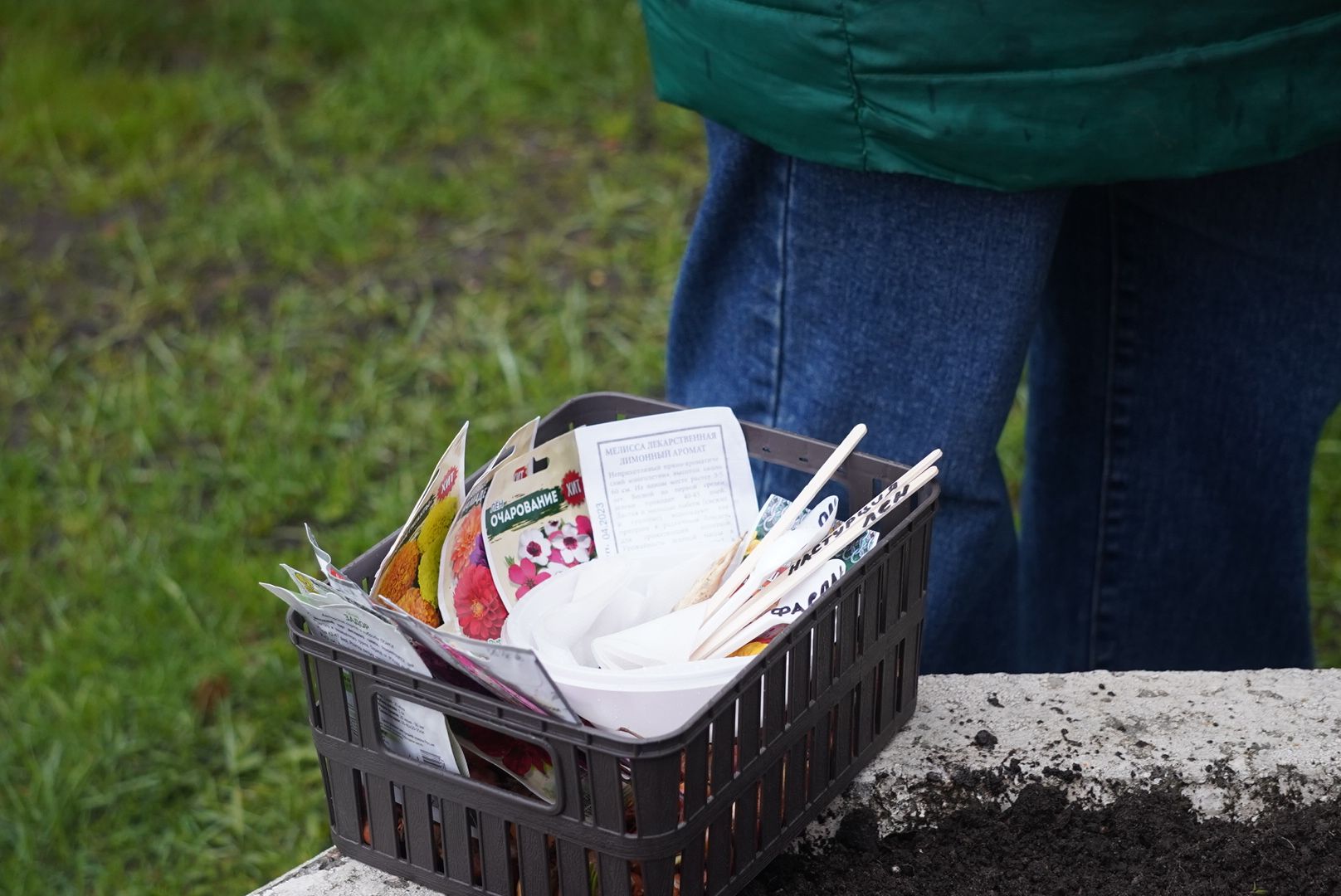 павловский посад, парк, огород,