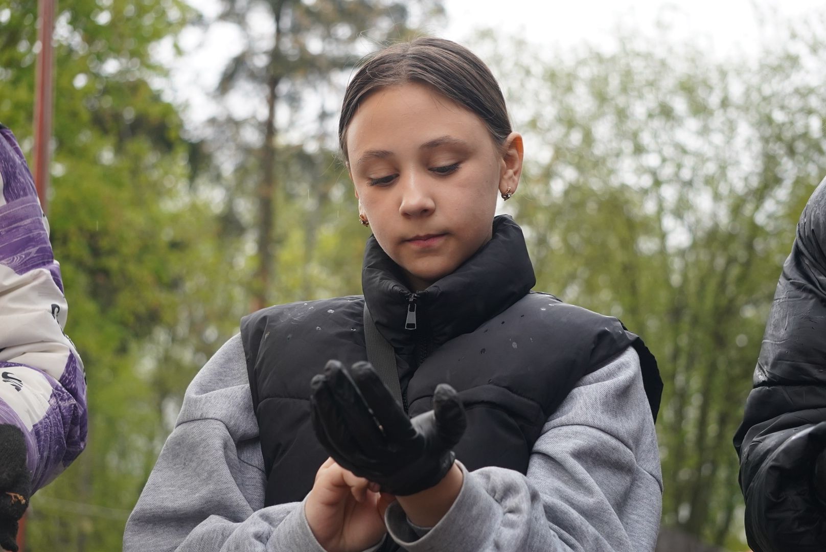 павловский посад, парк, огород,