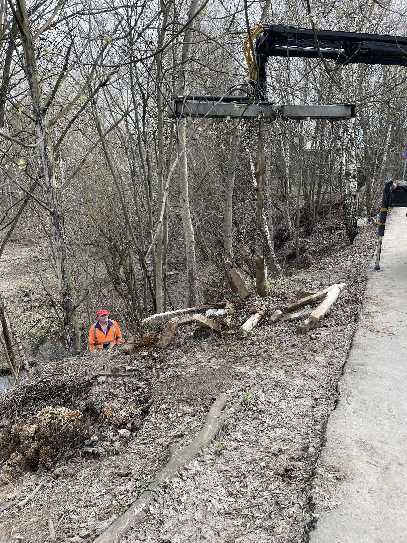 Одинцово, Немчиновка, пруд, очистка, экология,