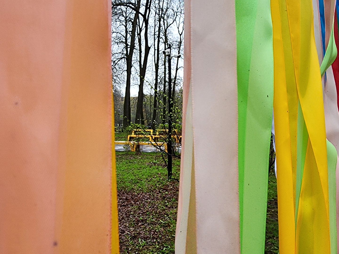 сергиев посад, парк скитские пруды, парад семей, 1 мая,