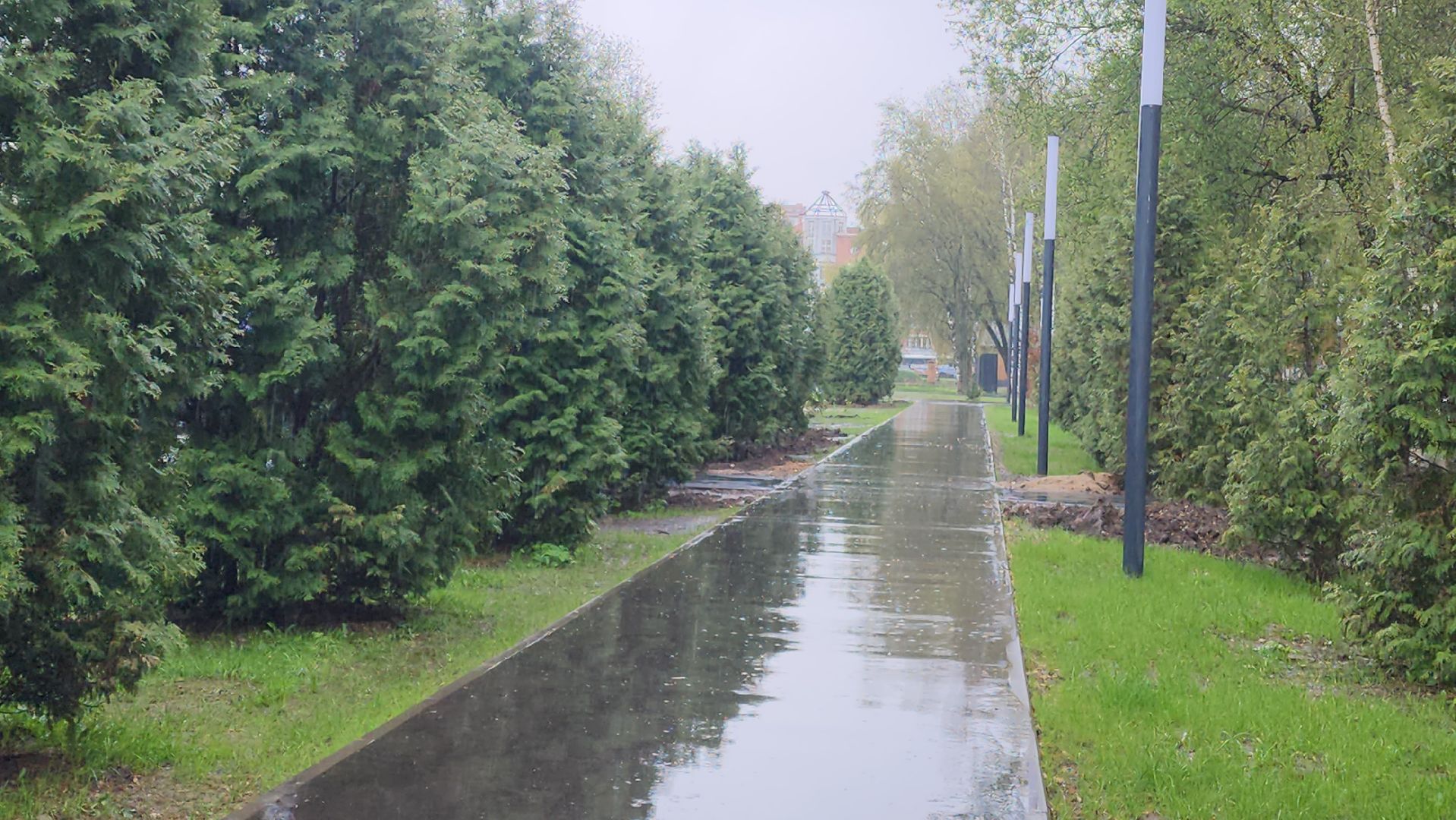 асфальтирование, пешеходная зона, Лобня, Парк,