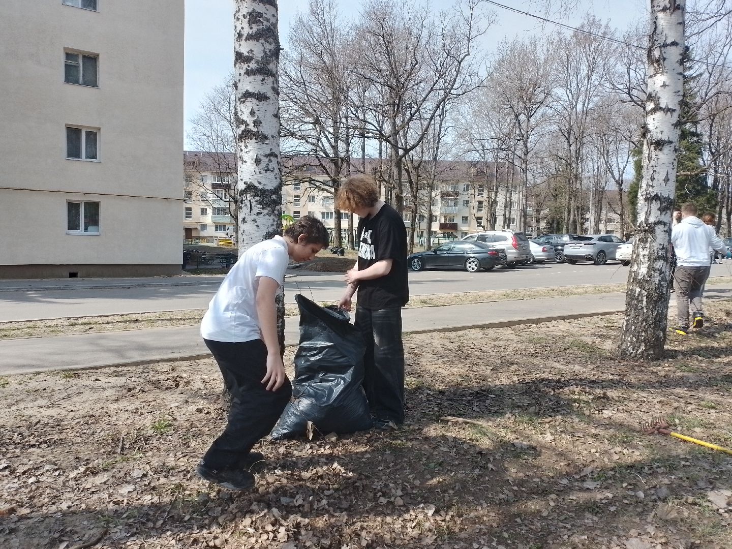 субботник, городской округ восход, благоустройство, акция мы за чистоту,