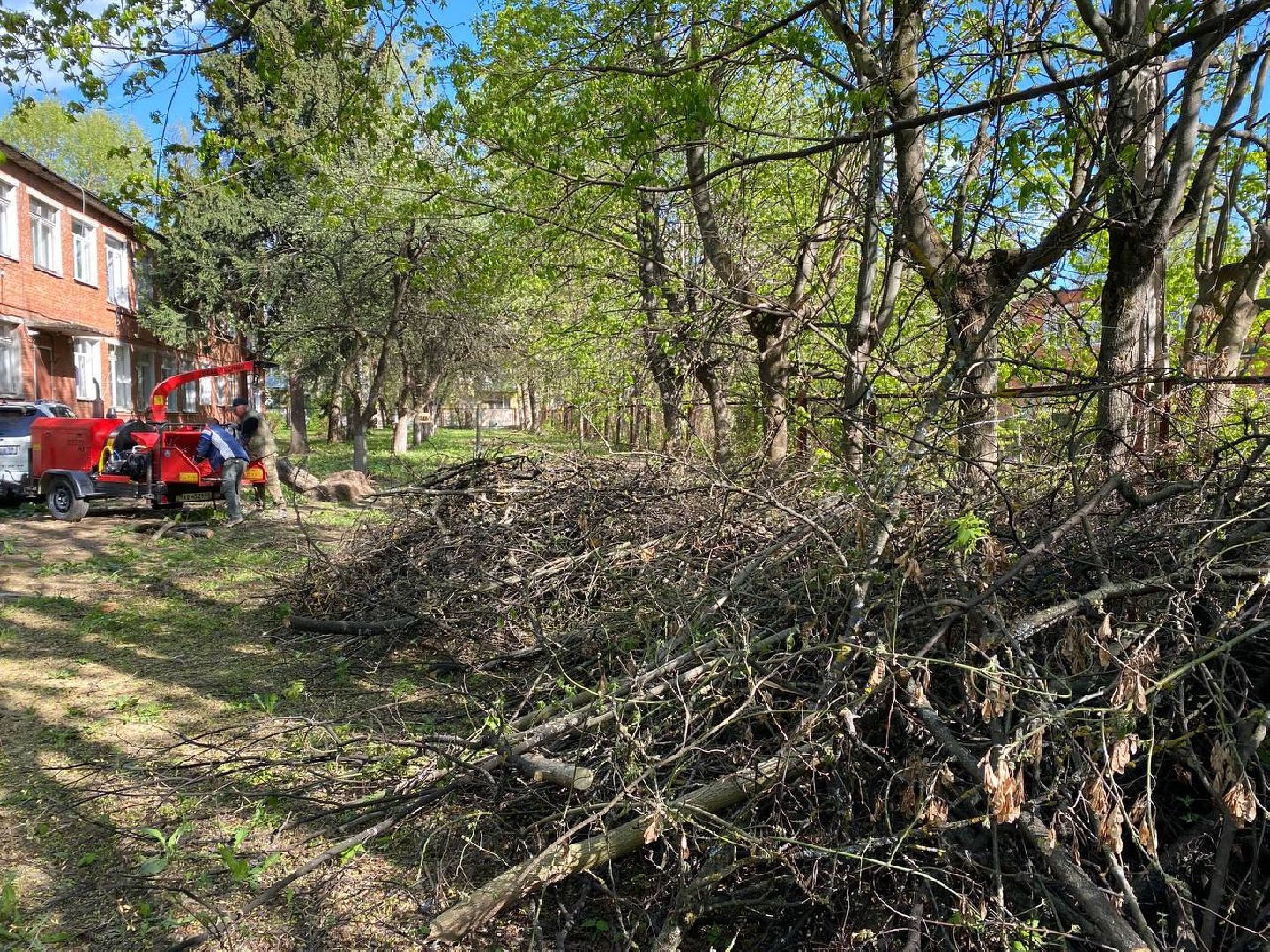 Чехов, школа-интернат, благотворительная акция, опиловка деревьев, измельчение веток, уборка территории, благоустройство, компания СрубСтрой, благотворительная точка добра Манаим,