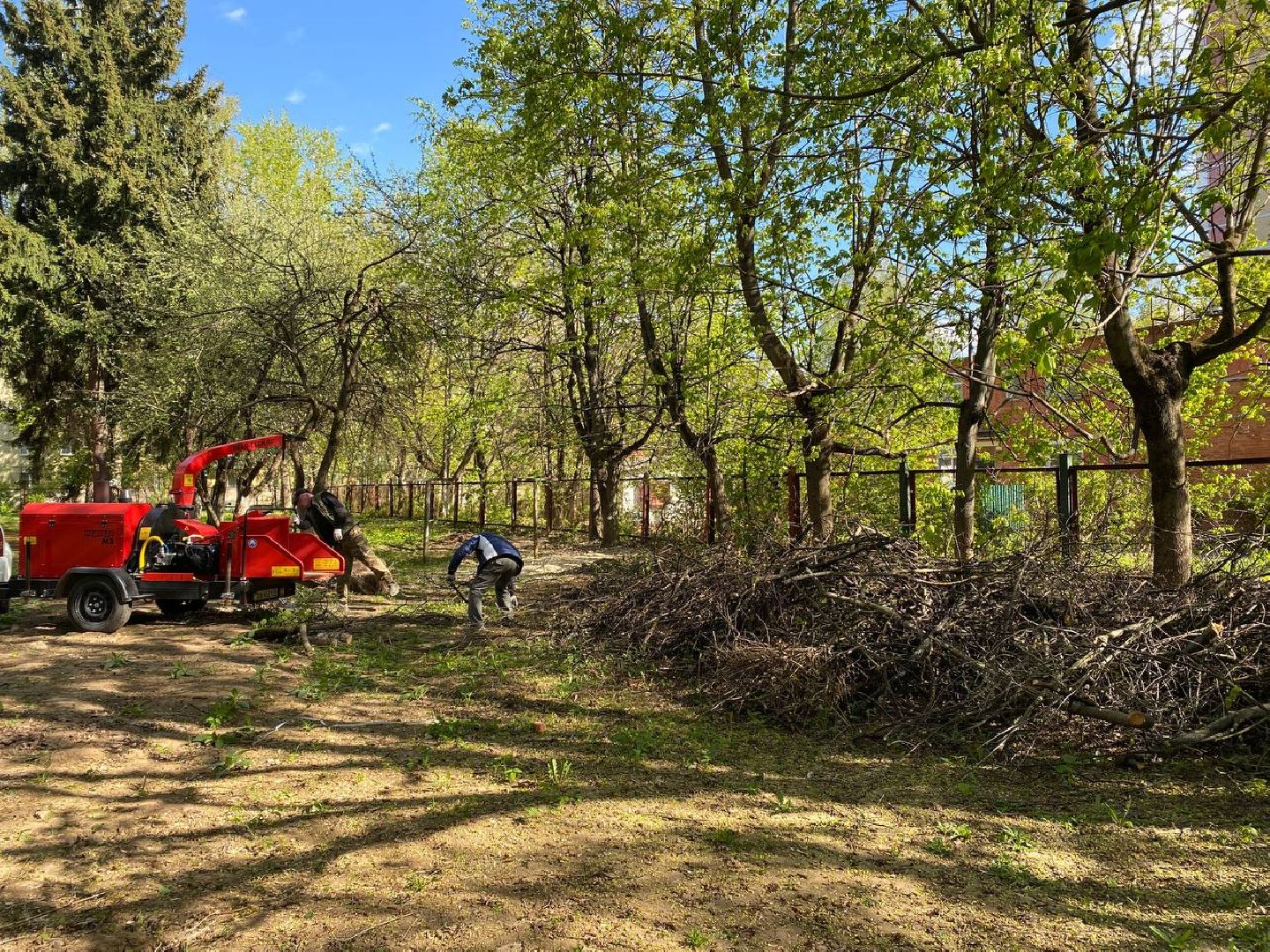 Чехов, школа-интернат, благотворительная акция, опиловка деревьев, измельчение веток, уборка территории, благоустройство, компания СрубСтрой, благотворительная точка добра Манаим,
