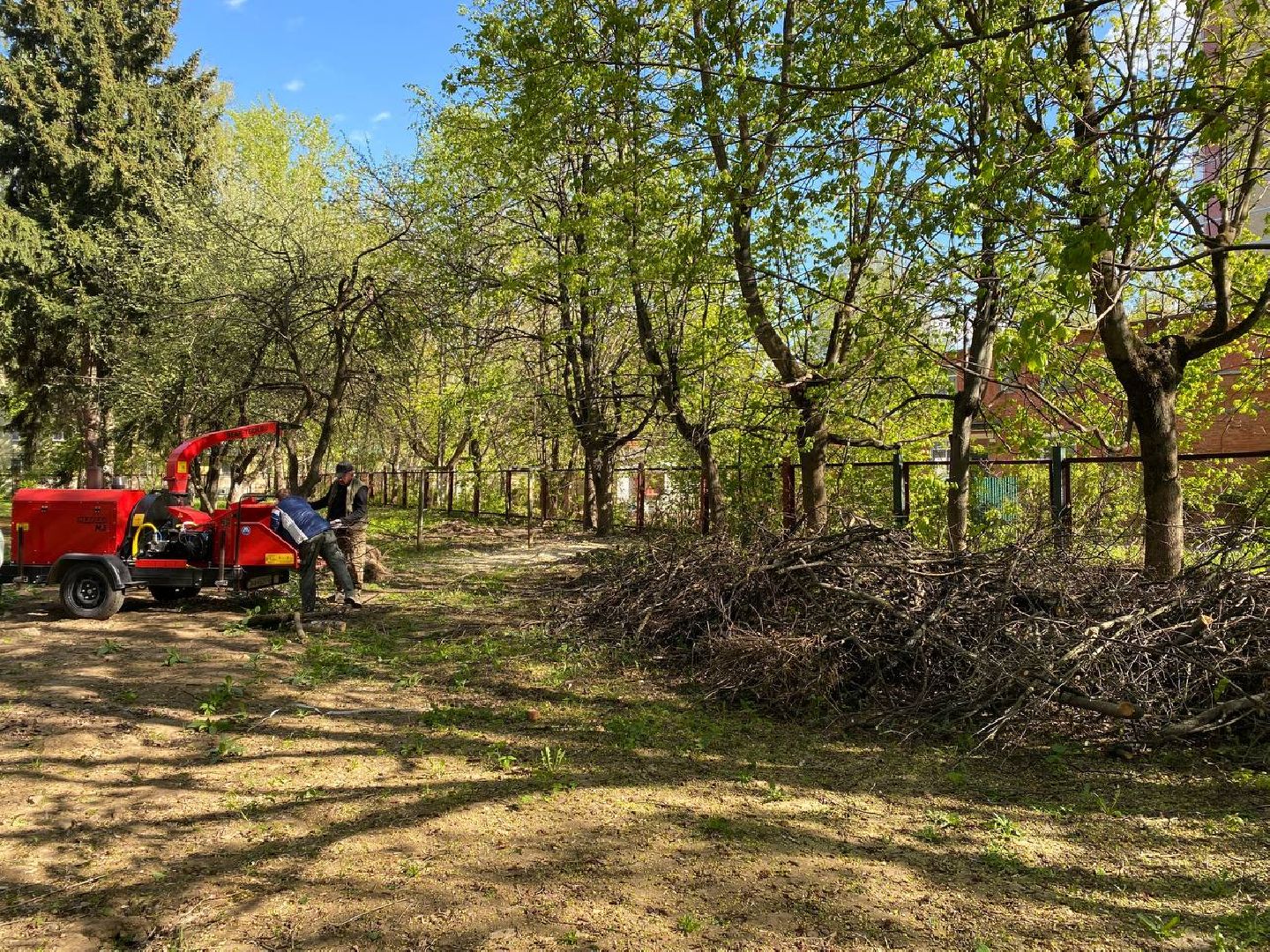 Чехов, школа-интернат, благотворительная акция, опиловка деревьев, измельчение веток, уборка территории, благоустройство, компания СрубСтрой, благотворительная точка добра Манаим,