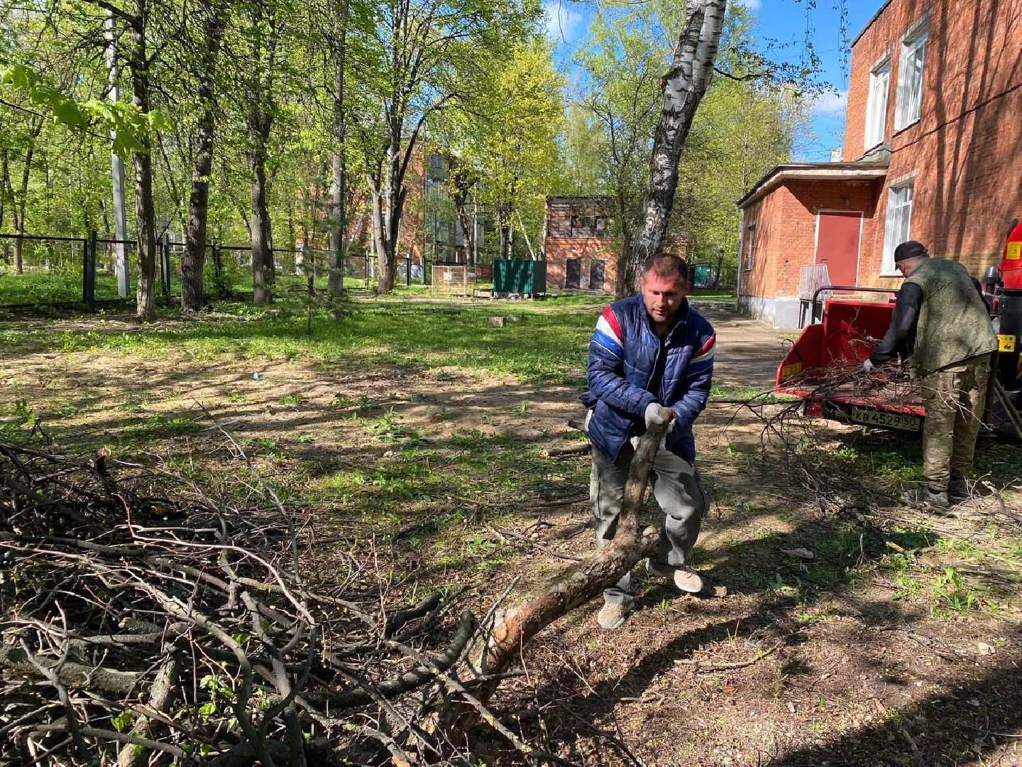 Чехов, школа-интернат, благотворительная акция, опиловка деревьев, измельчение веток, уборка территории, благоустройство, компания СрубСтрой, благотворительная точка добра Манаим,