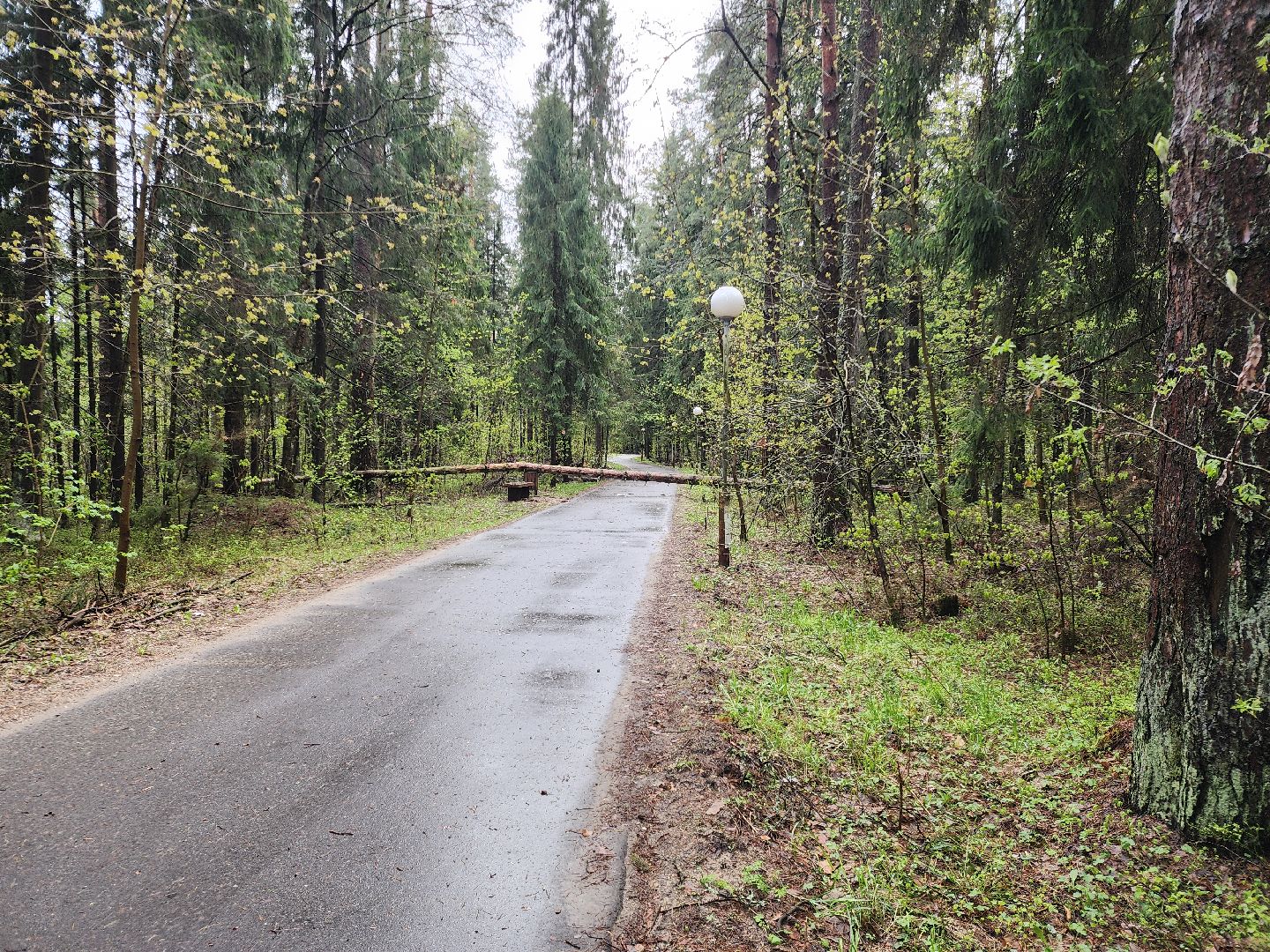 Черноголовка, Ураган, Жкх,