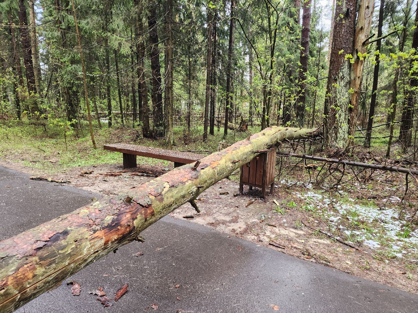 Черноголовка, Ураган, Жкх,