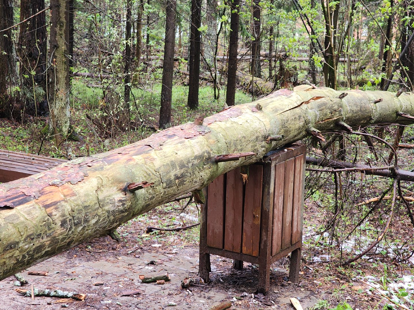Черноголовка, Ураган, Жкх,