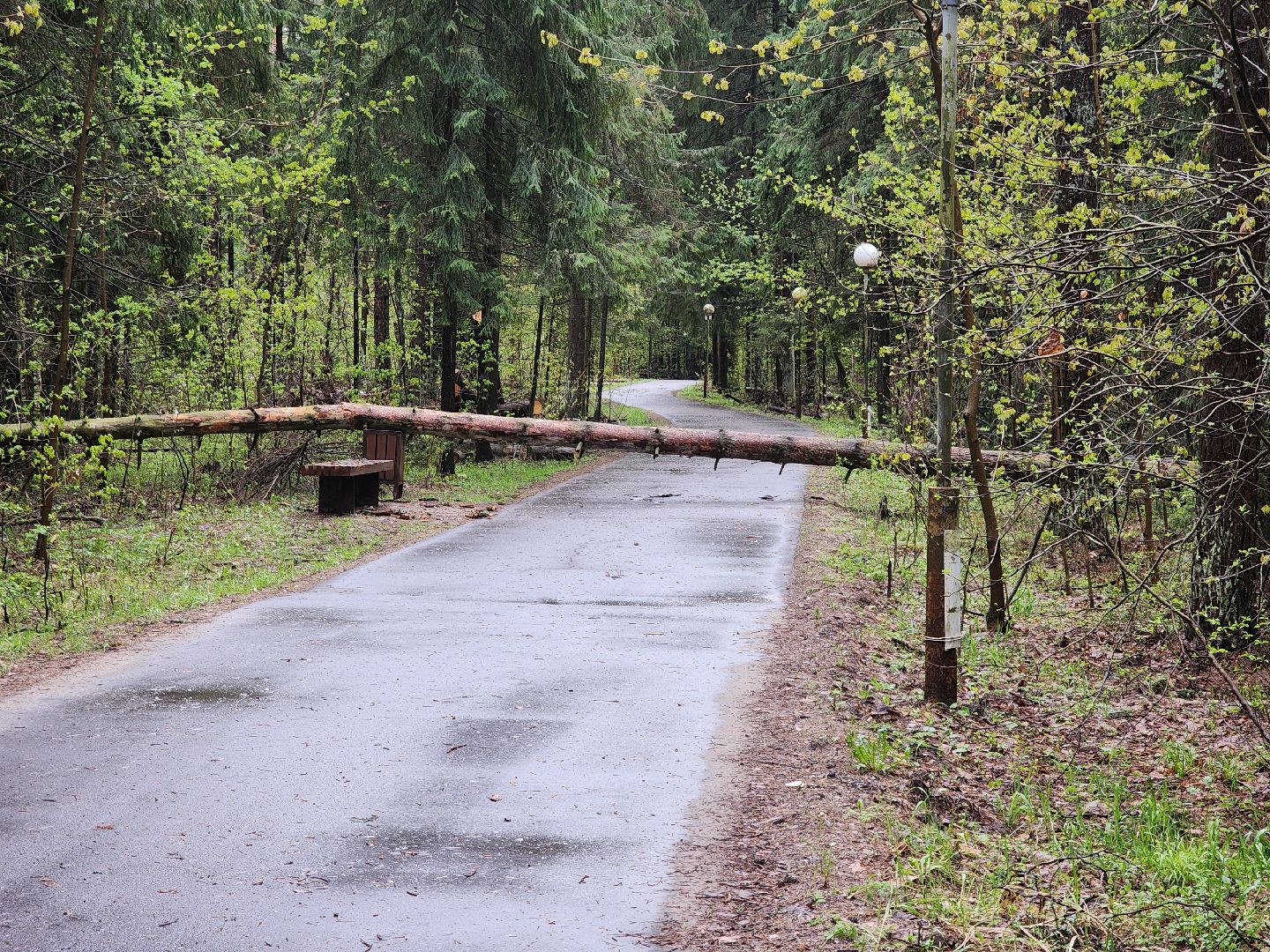 Черноголовка, Ураган, Жкх,