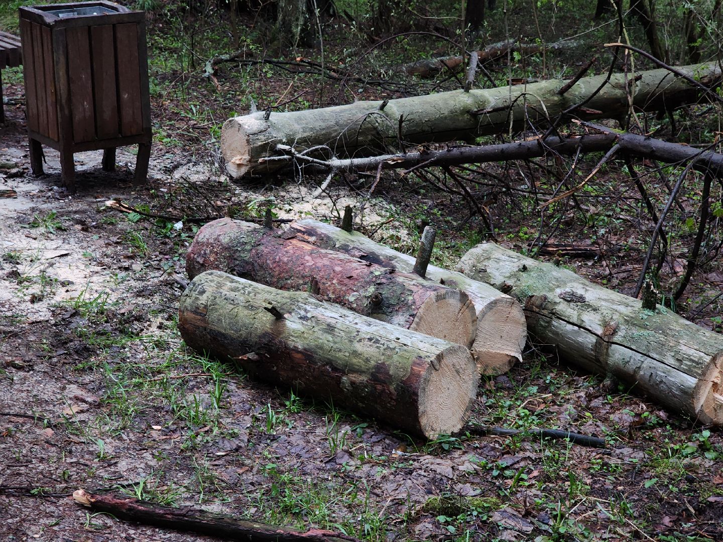 Черноголовка, Ураган, Жкх,