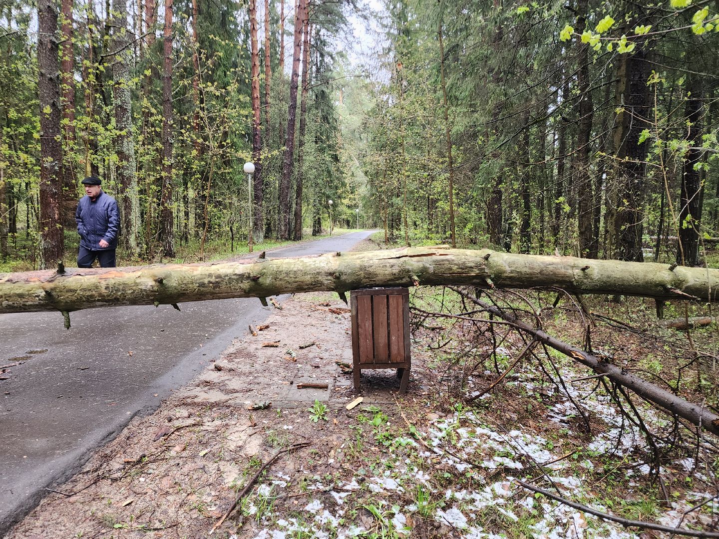 Черноголовка, Ураган, Жкх,