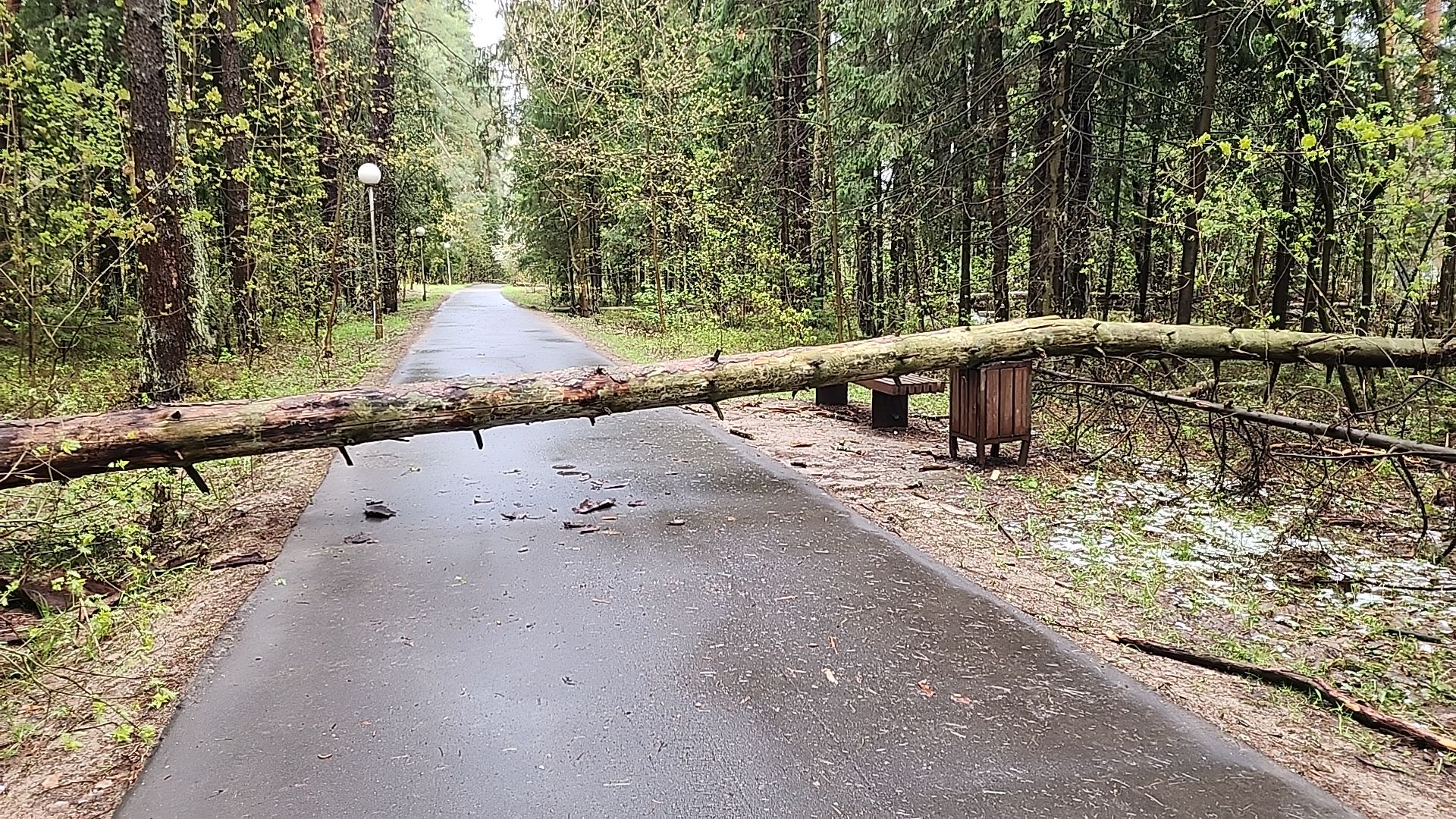 Черноголовка, Ураган, Жкх,