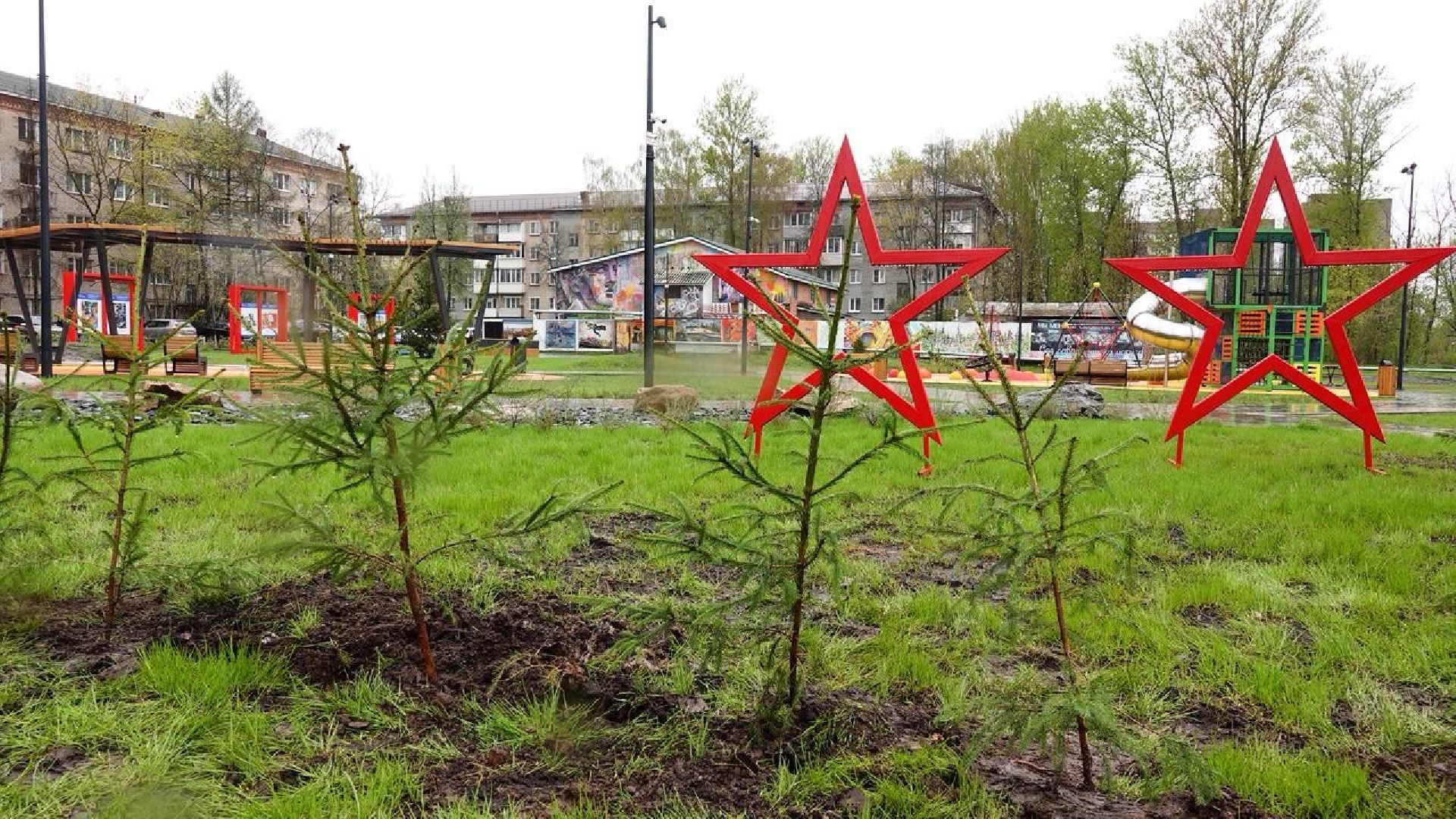 9 мая, сад памяти, экология , сергиев посад, сергиево-посадский городской округ,