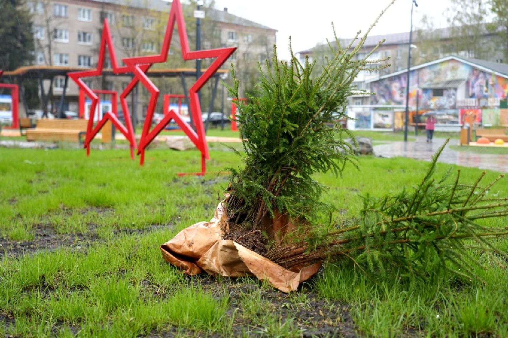9 мая, сад памяти, экология , сергиев посад, сергиево-посадский городской округ,