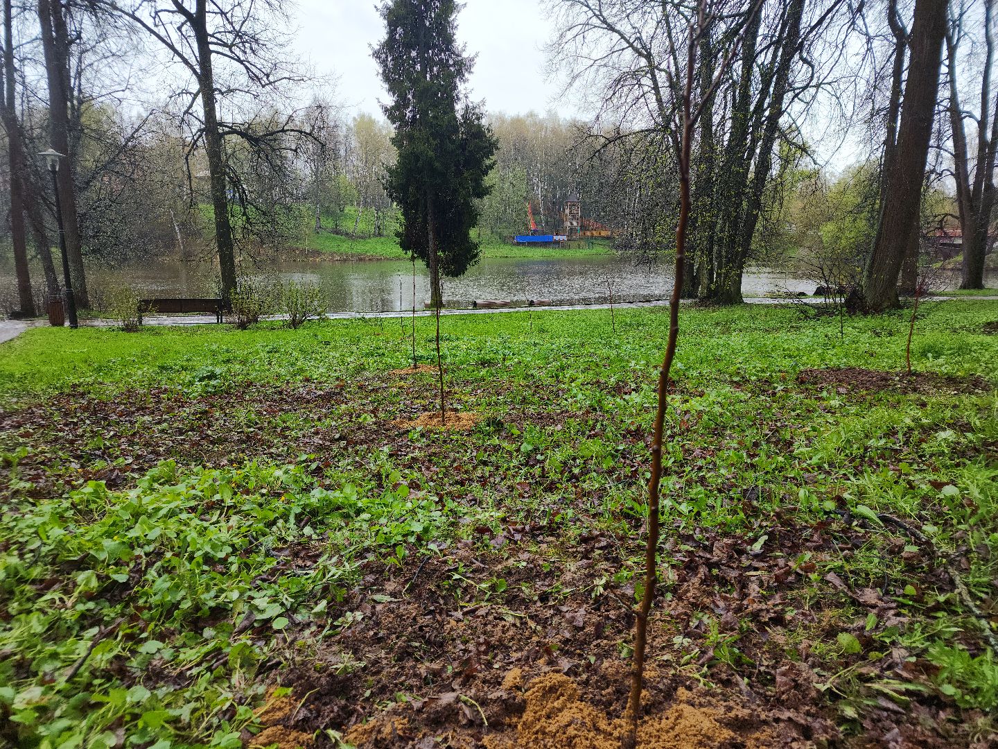 сергиев посад, парк скитские пруды, яблони, сад памяти,