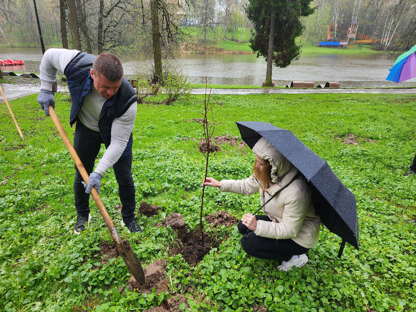 сергиев посад, парк скитские пруды, яблони, сад памяти,