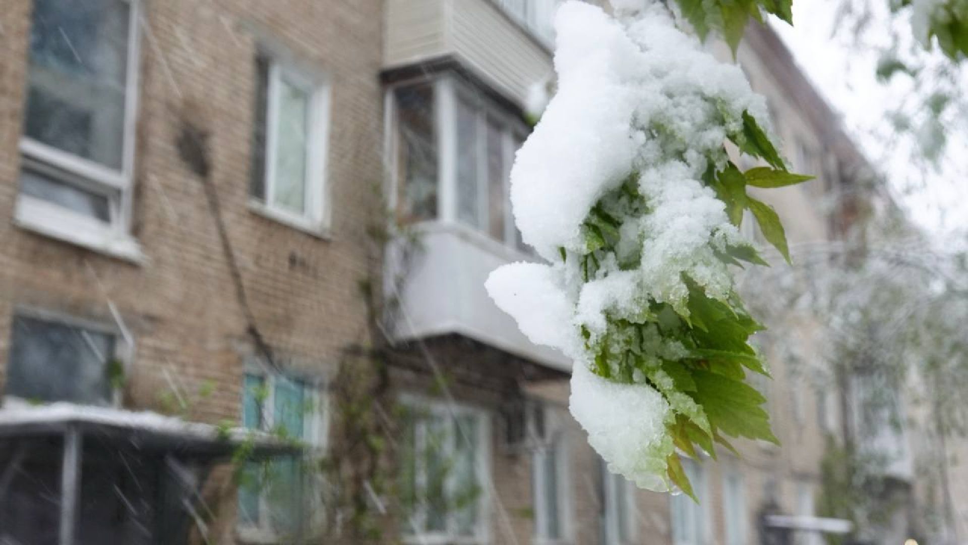 сергиев посад, чп, происшествия, сергиево-посадский городской округ , снегопад,