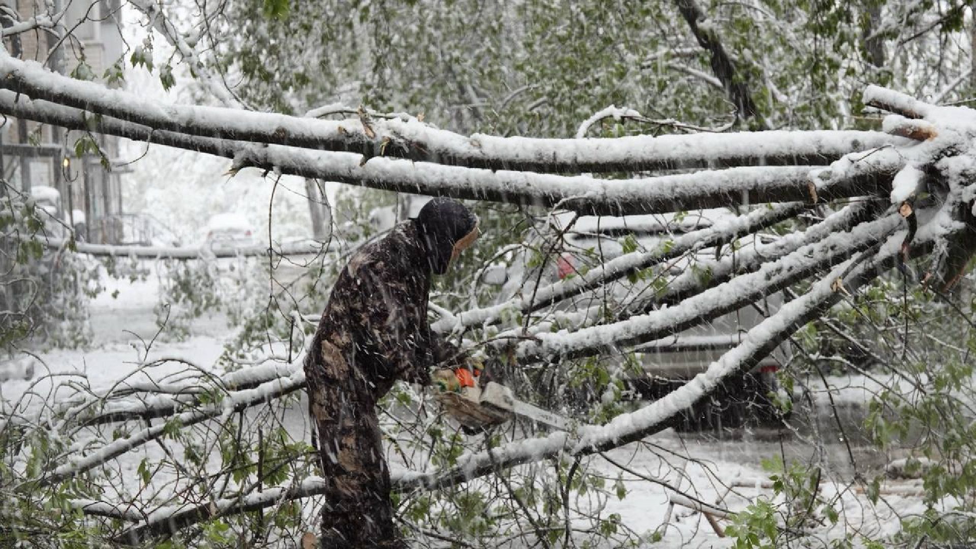 сергиев посад, чп, происшествия, сергиево-посадский городской округ , снегопад,