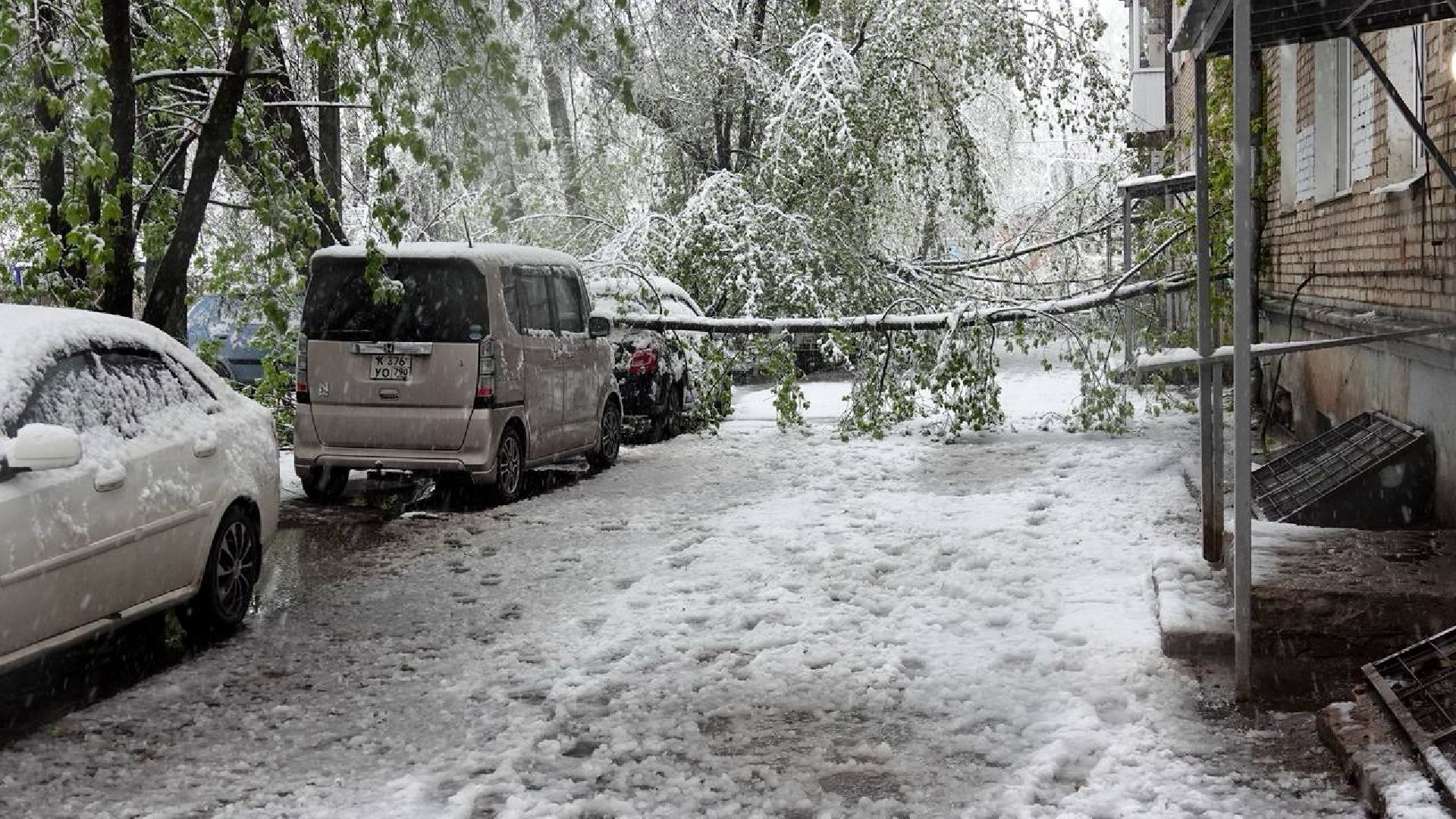 сергиев посад, чп, происшествия, сергиево-посадский городской округ , снегопад,