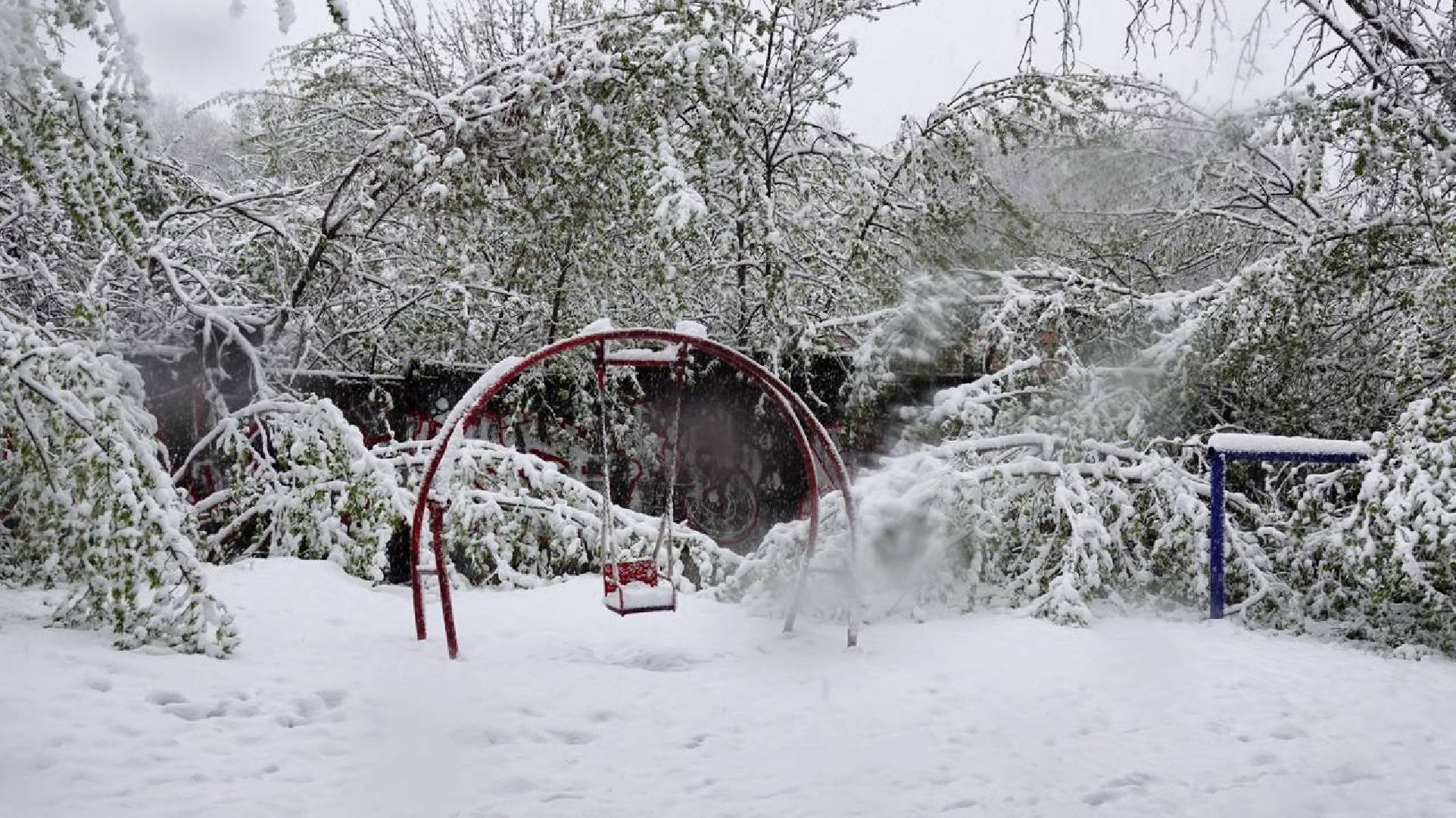 сергиев посад, чп, происшествия, сергиево-посадский городской округ , снегопад,
