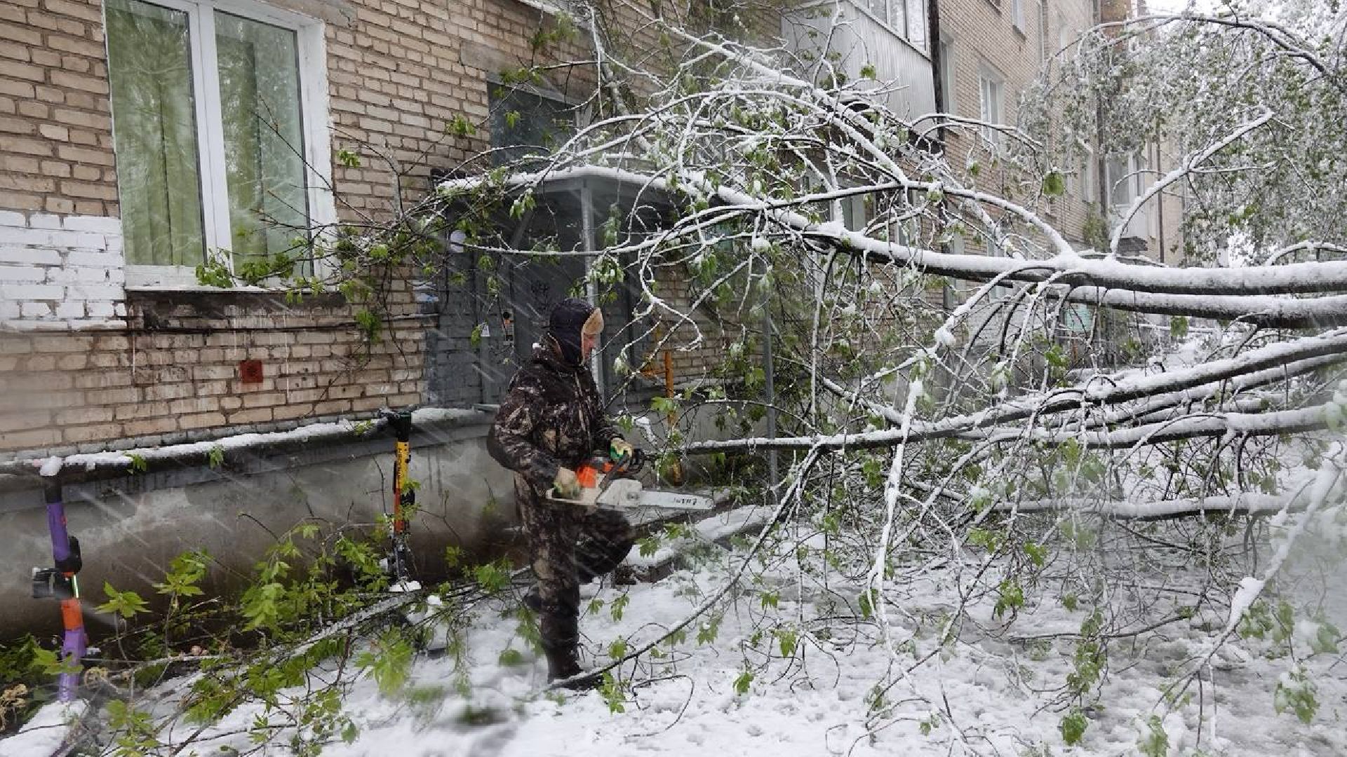 сергиев посад, чп, происшествия, сергиево-посадский городской округ , снегопад,