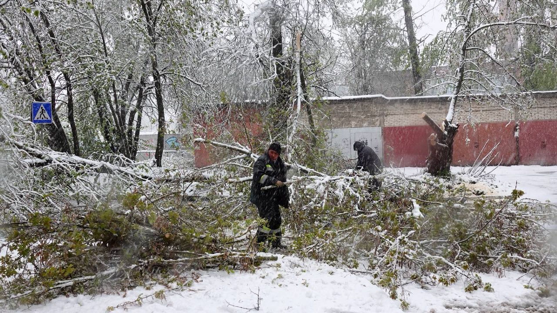 сергиев посад, чп, происшествия, сергиево-посадский городской округ , снегопад,