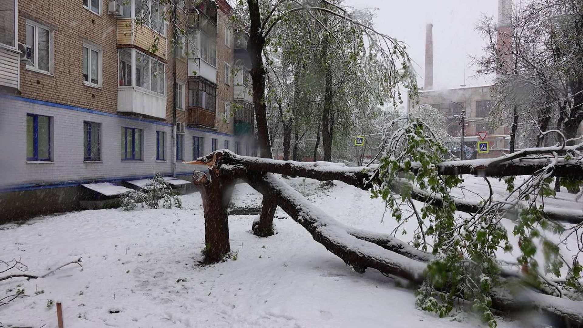 сергиев посад, чп, происшествия, сергиево-посадский городской округ , снегопад,