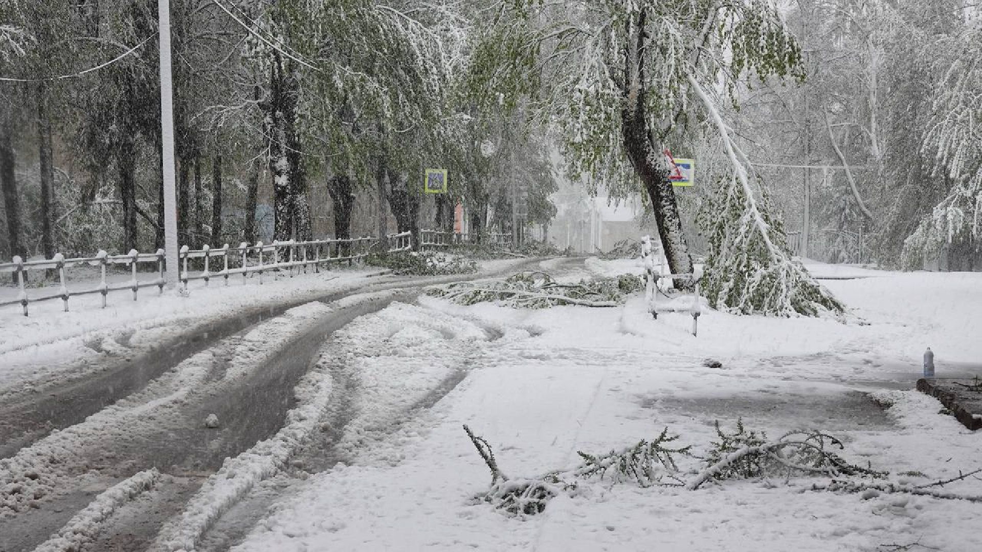 сергиев посад, чп, происшествия, сергиево-посадский городской округ , снегопад,
