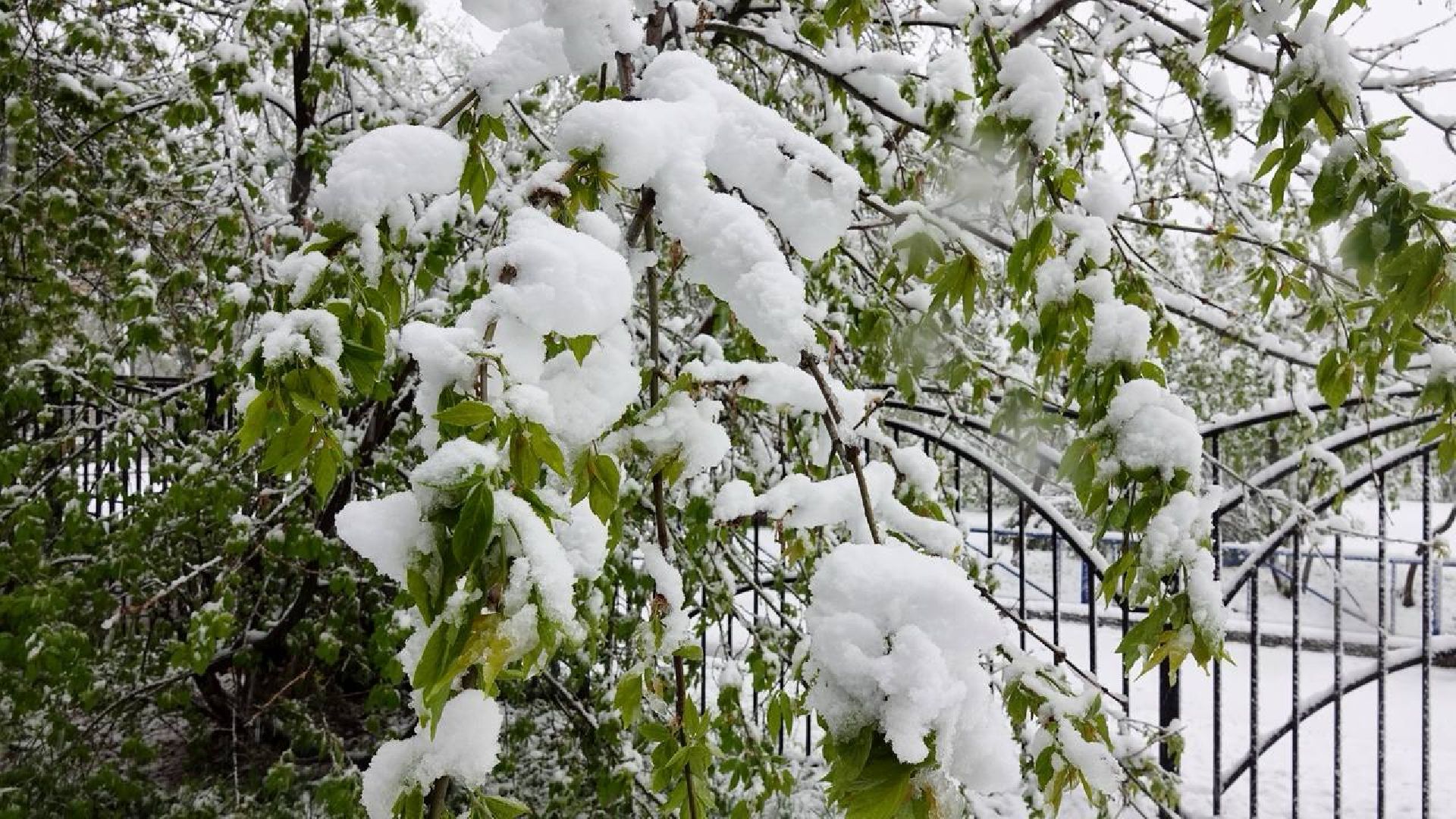 сергиев посад, чп, происшествия, сергиево-посадский городской округ , снегопад,