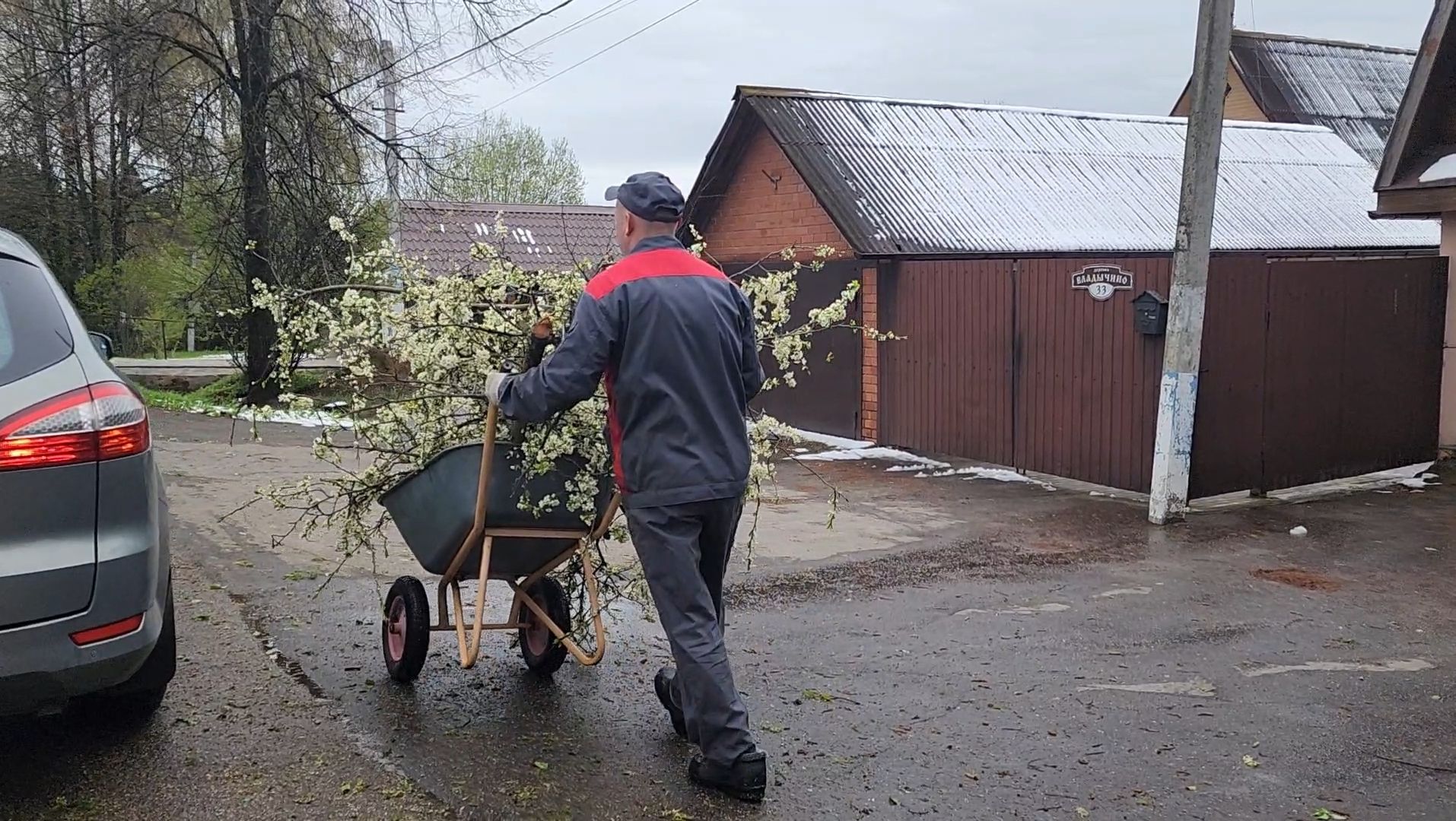 дерево, ураган, уборка,