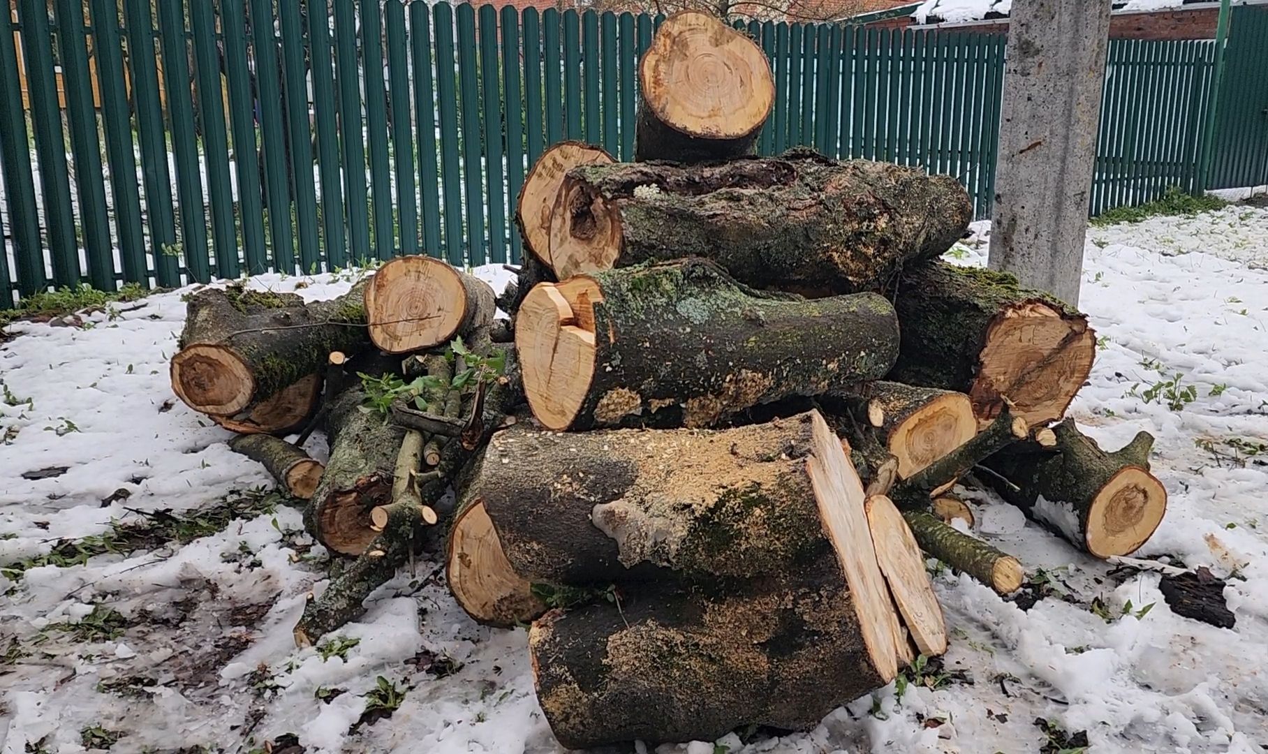 дерево, ураган, уборка,