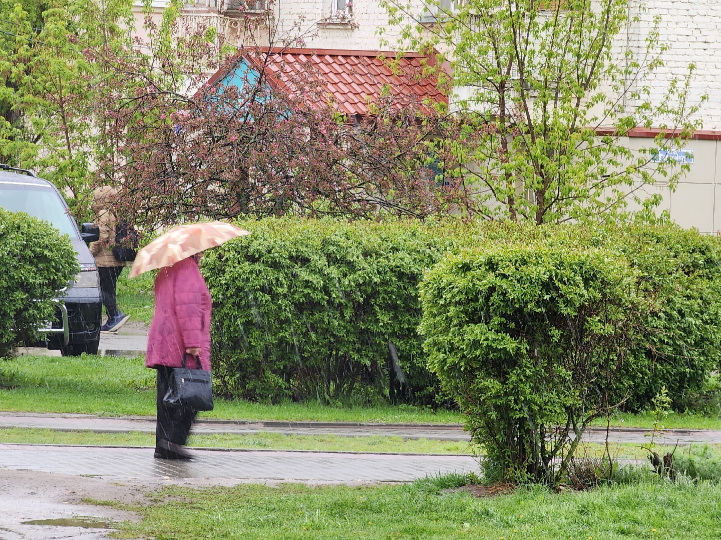 Егорьевск , Подмосковье , Московская область ,