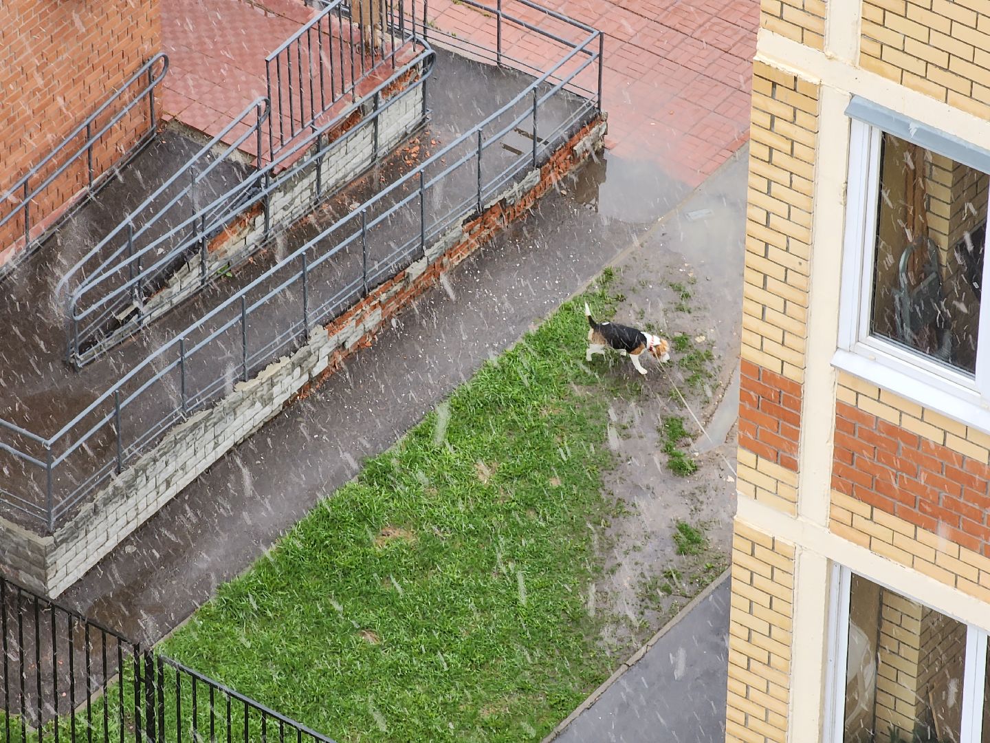 Егорьевск , Подмосковье , Московская область ,