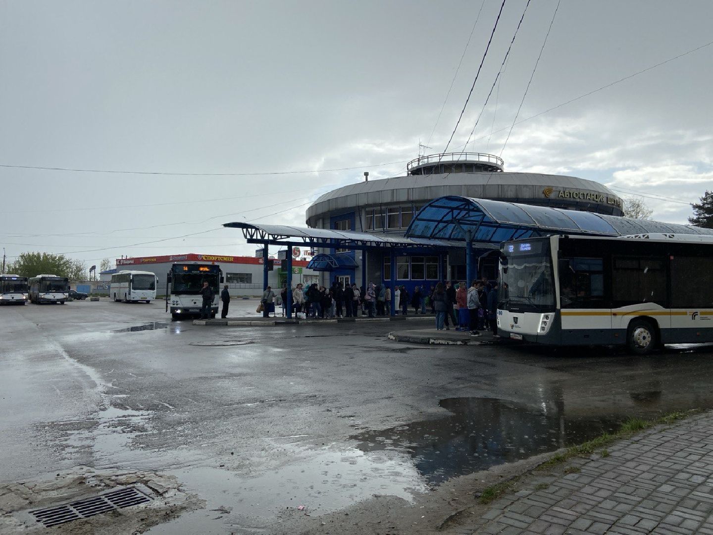 транспорт подмосковья, автобусы, шатурское патп,летние автобусные маршруты,