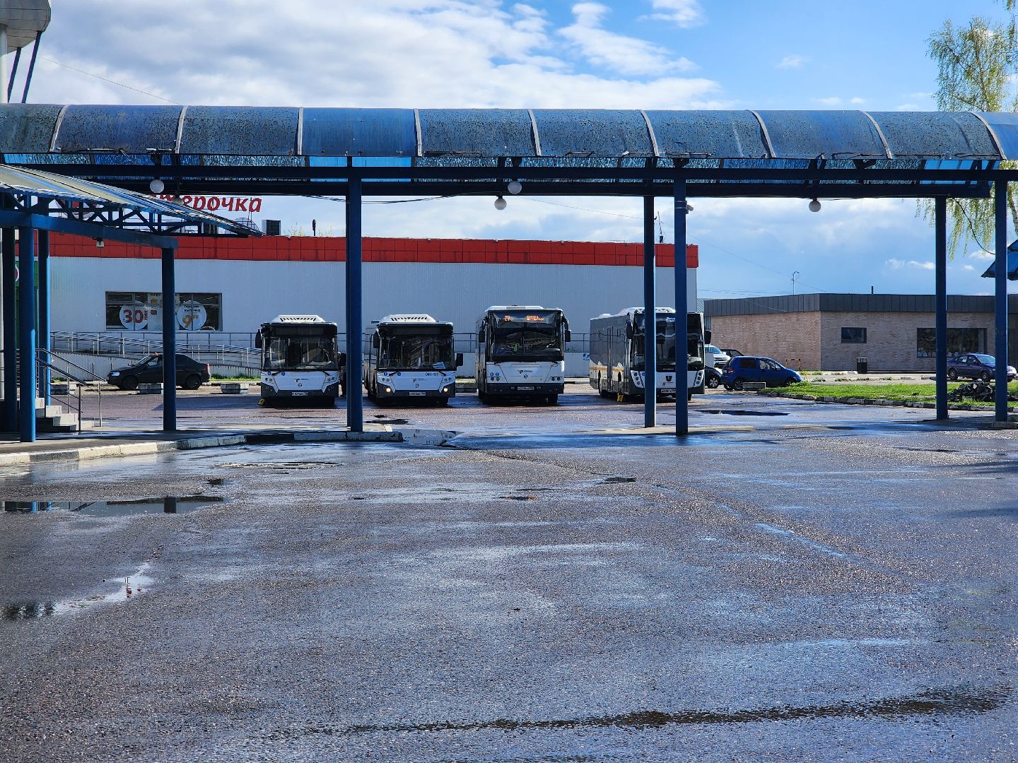 транспорт подмосковья, автобусы, шатурское патп,летние автобусные маршруты,