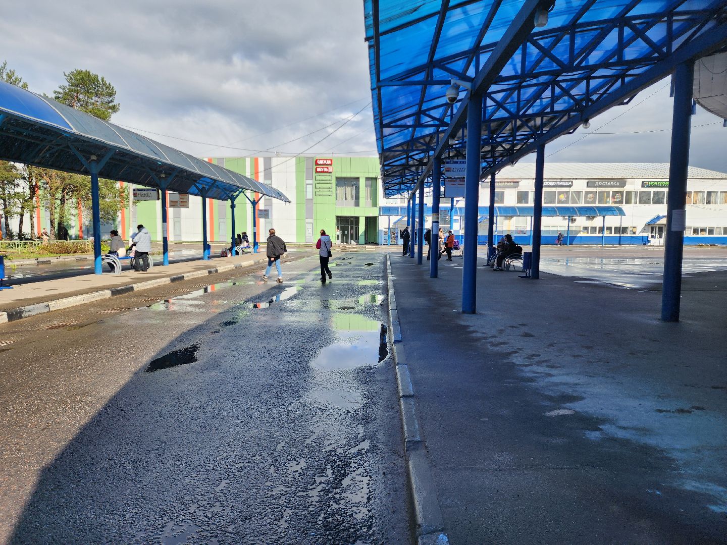 транспорт подмосковья, автобусы, шатурское патп,летние автобусные маршруты,