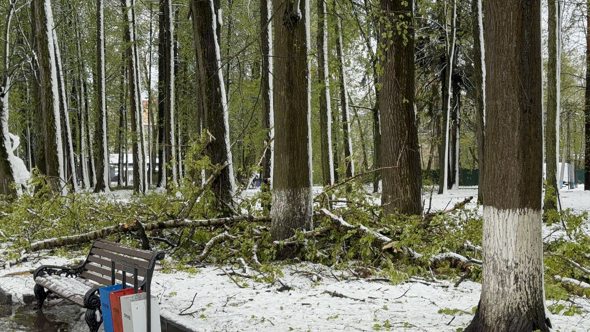 солнечногорск, снегопад, циклон, уборка снега, коммунальная служба,