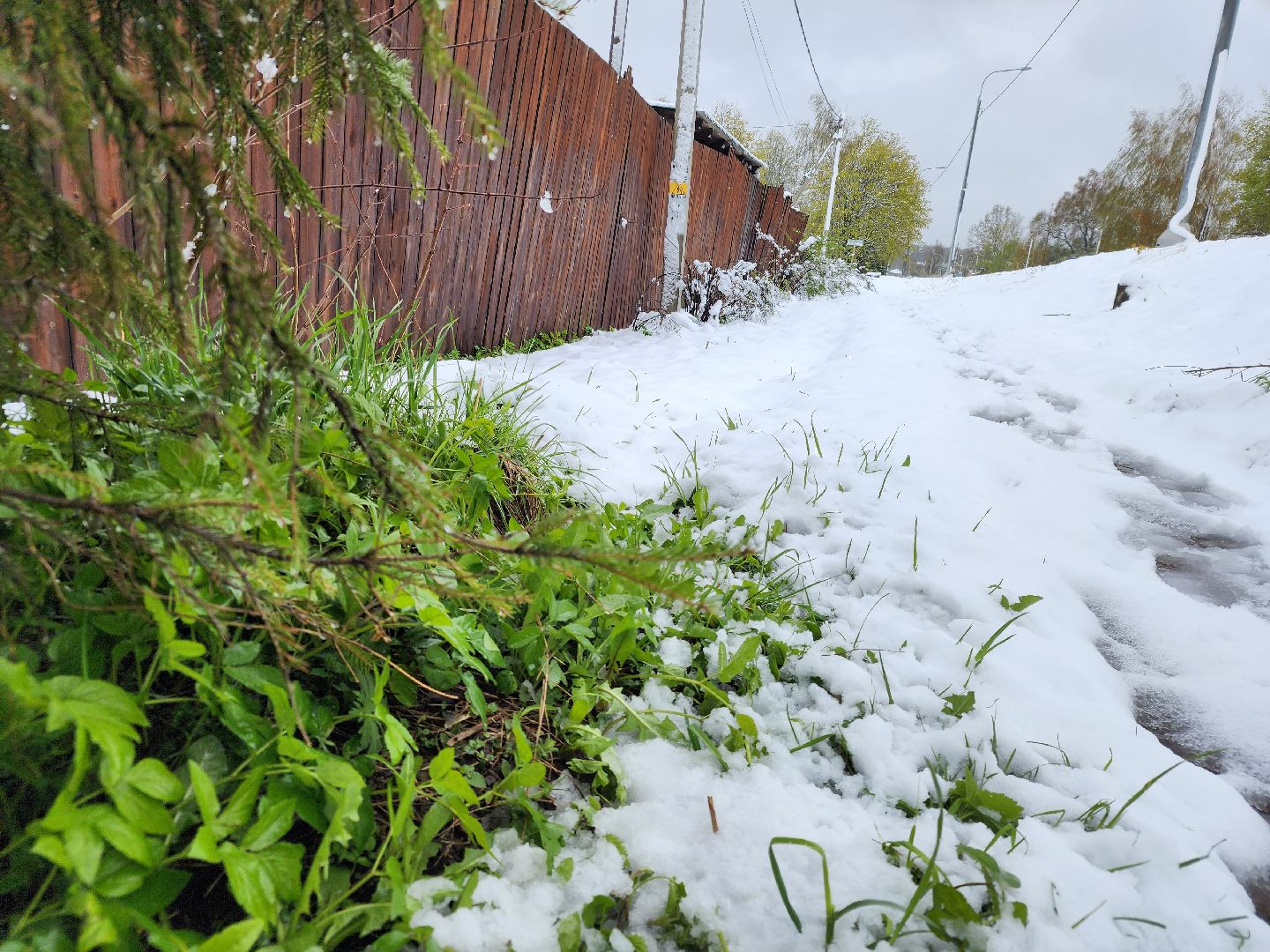 талицы, отключение света, снегопад, скандинавский циклон,