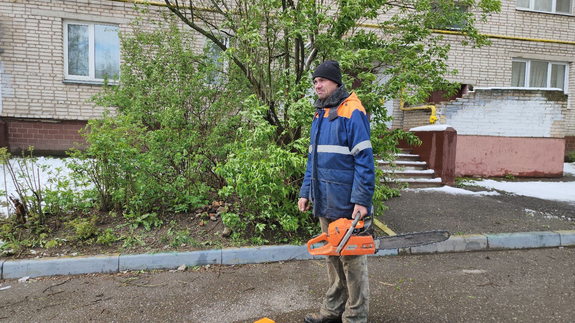 Истра, коммунальная служба, спил деревьев,